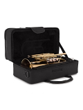 TCC-53/L Cornet Bb, зображення 4